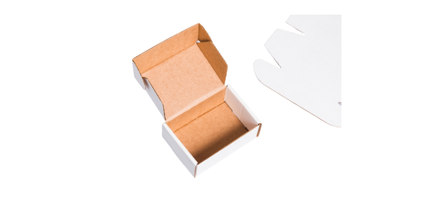 Self-locking Mailer Box