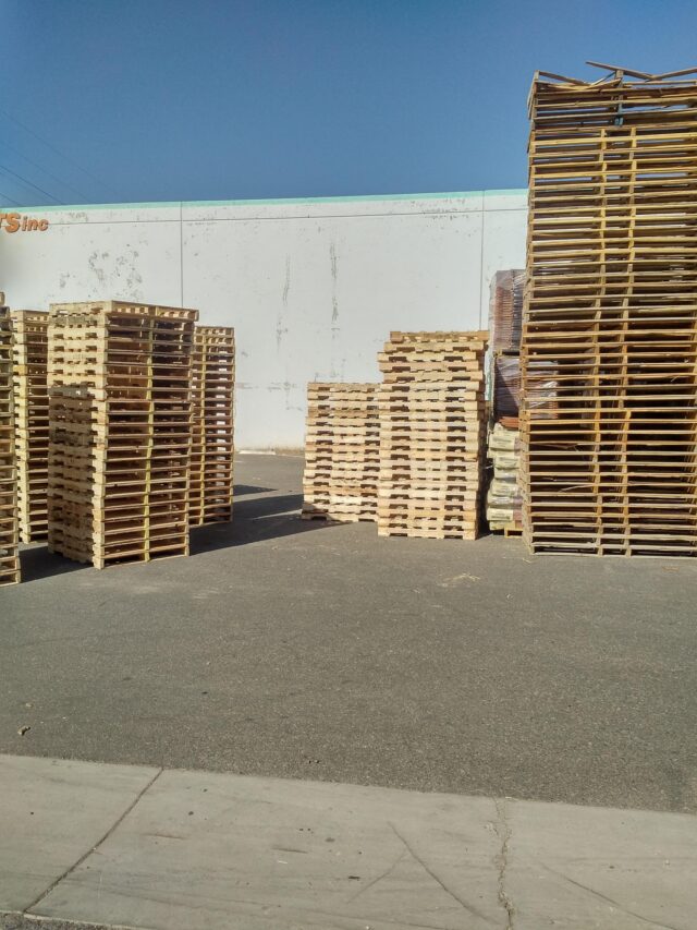 Wooden Pallets kept in the BlueRose Packaging Warehouse