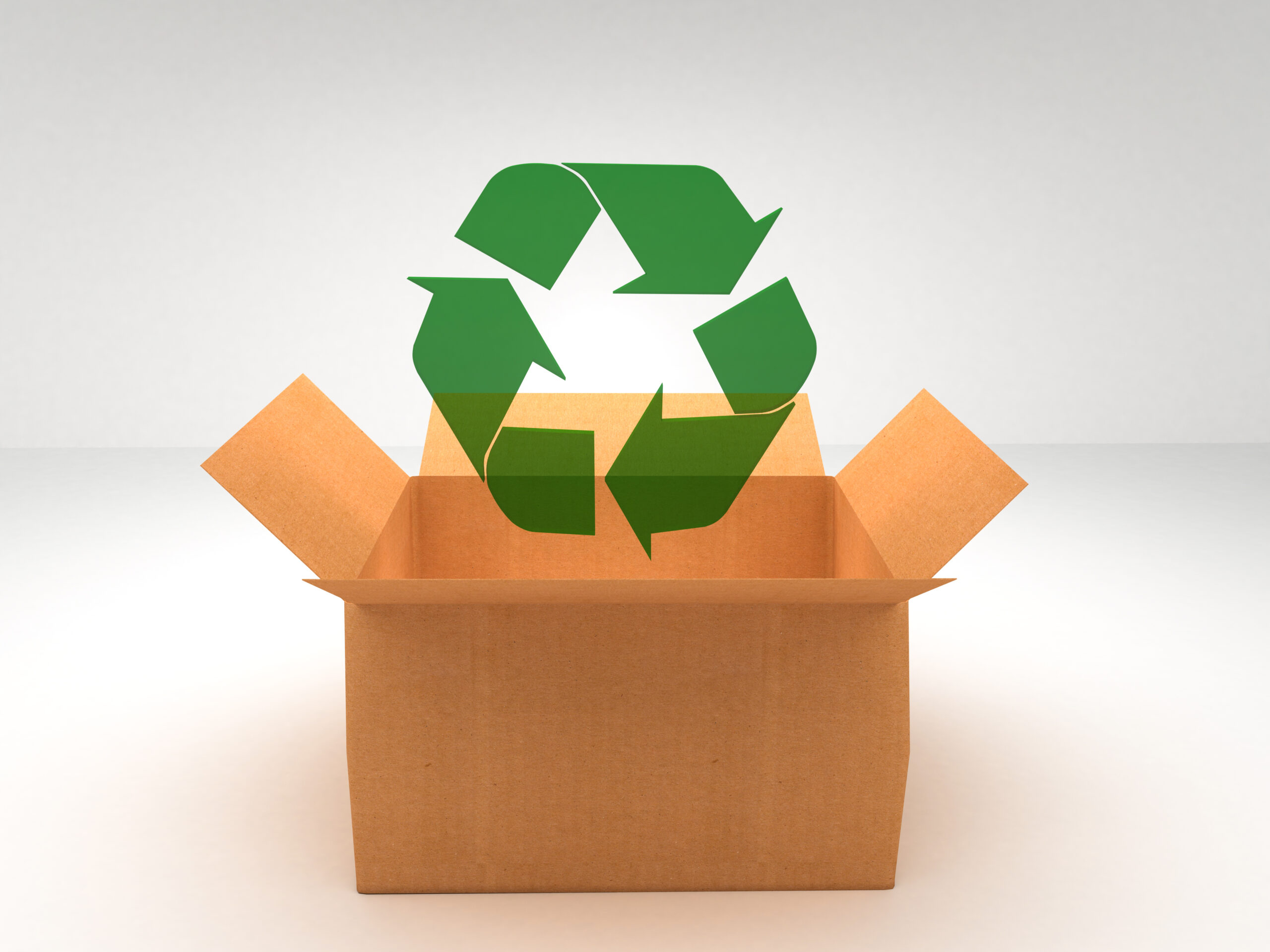 Sustainable Custom Packaging Trends for 2025: Leading the Charge for a Greener Future